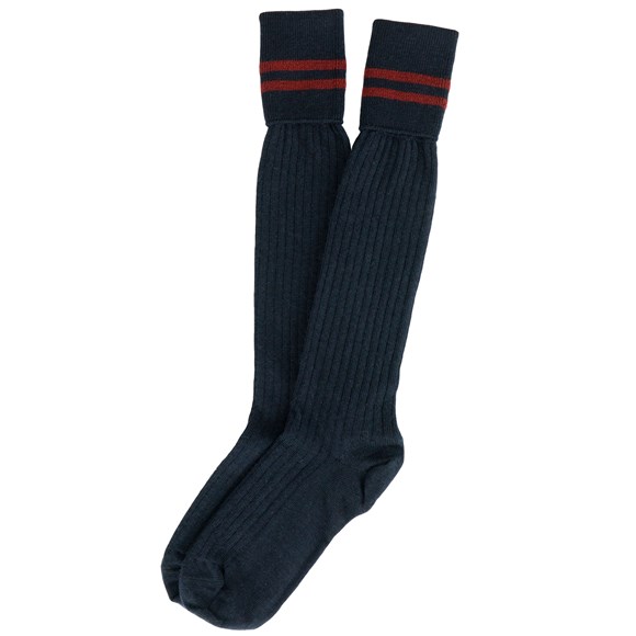 NEW Full-length Boys Sock (Size 2-5)