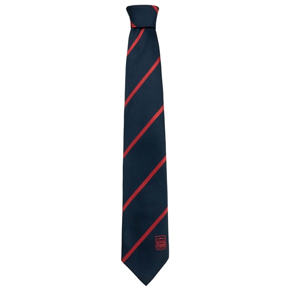 Stripe Tie