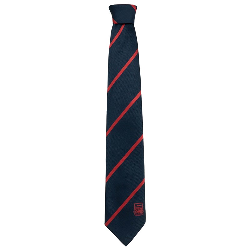 Stripe Tie