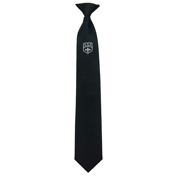 Boys Clip on Tie