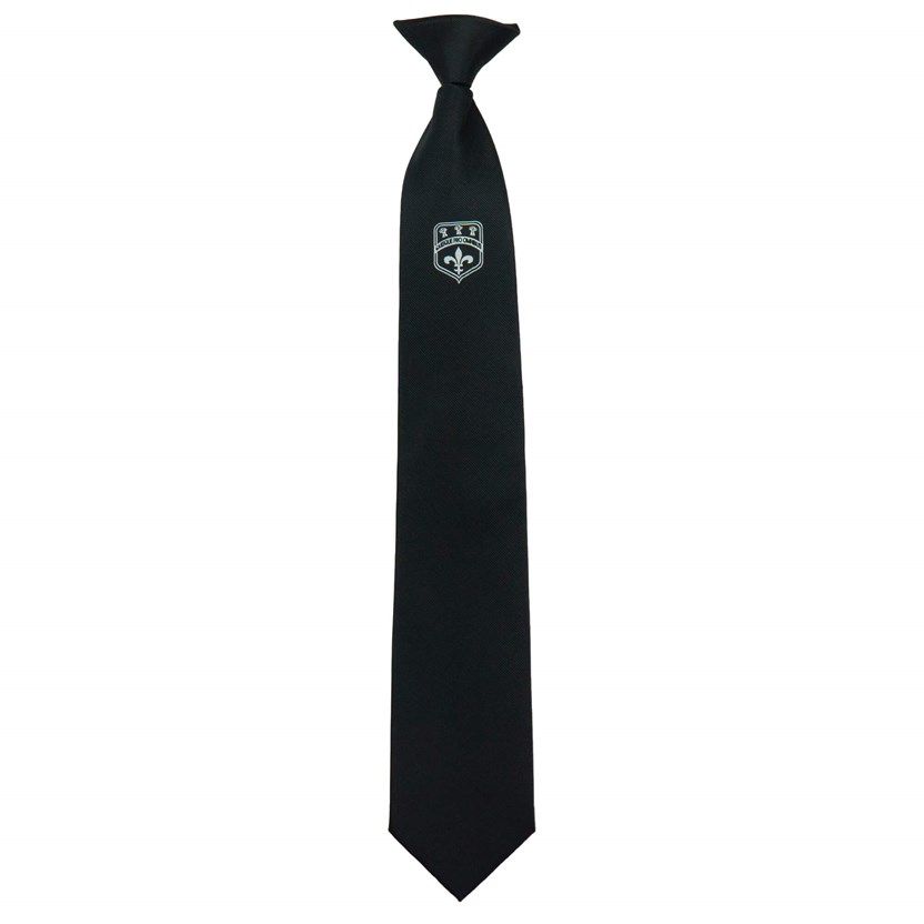 Boys Clip on Tie