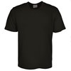 Whakamana Rock Tee (Māhoe & Tūhua) - black