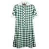 Dress (all other sizes) - green/white check