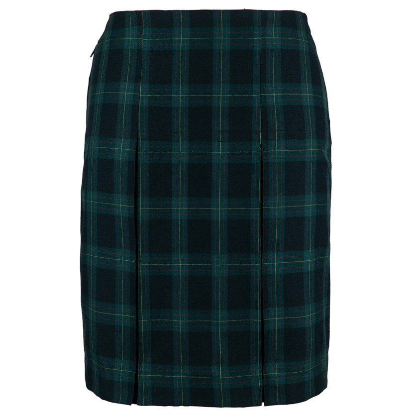 Pleated Skirt (front pleats)