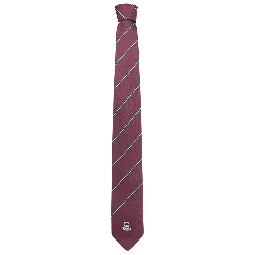 School Tie